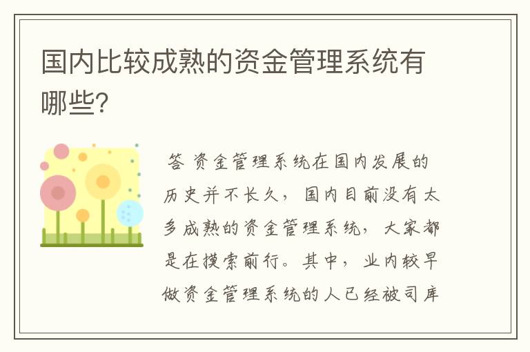 国内比较成熟的资金管理系统有哪些？