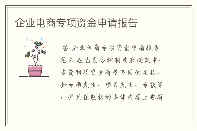 企业电商专项资金申请报告