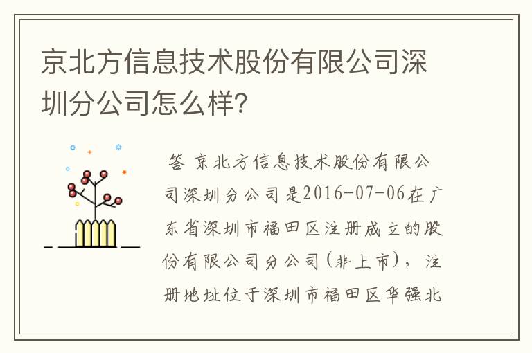 京北方信息技术股份有限公司深圳分公司怎么样？