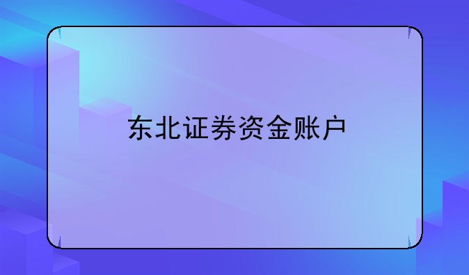 东北证券资金账户