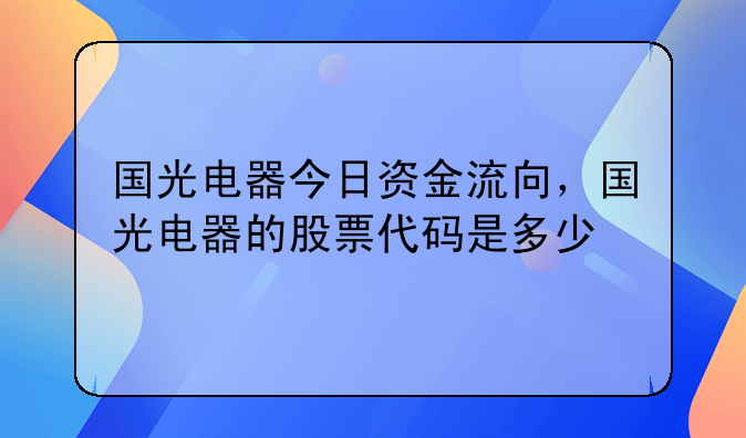 国光电器今日资金流向，国光电器的股票代码是多少